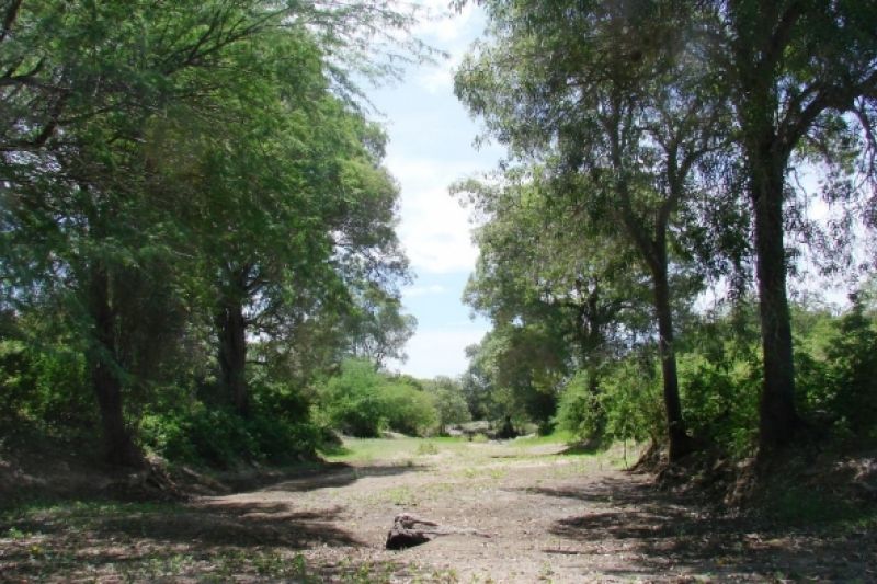 Unidade de Conservação de Água Branca terá Conselho Gestor