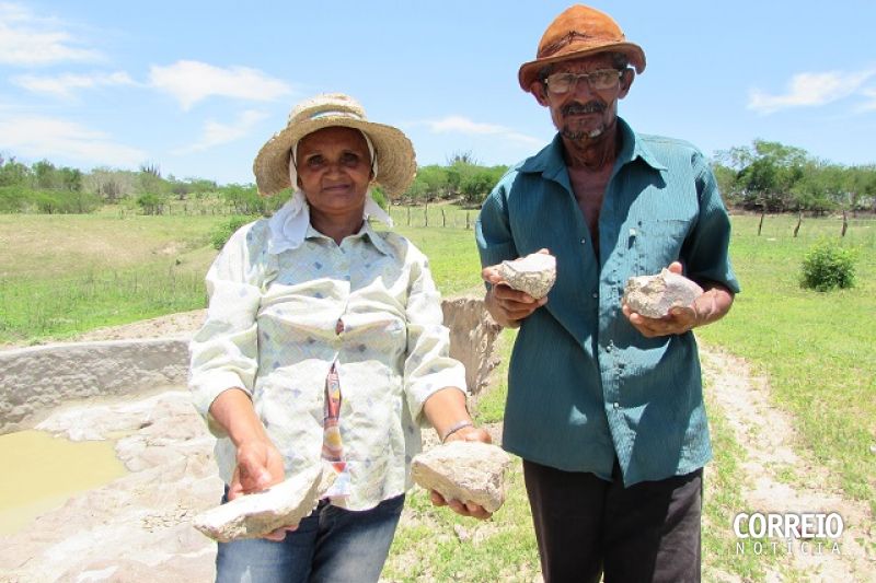Fósseis achados em Alagoas explicam evolução de espécies e mudanças no meio ambiente