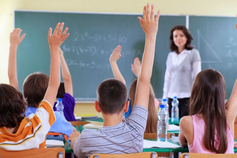 A missão do professor é criar a curiosidade