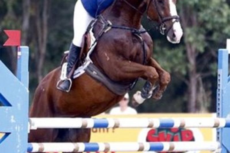 Australiana de 19 anos cai do cavalo e morre em seletiva equestre para o Rio