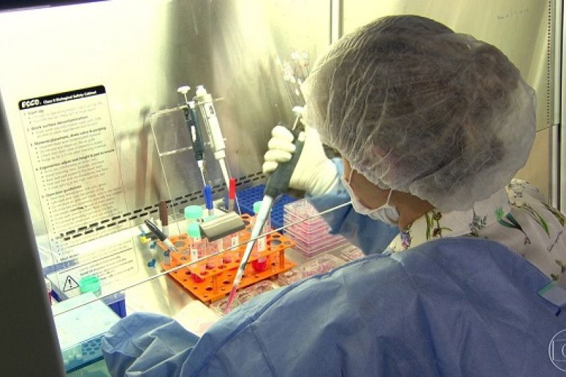 Remédio utilizado para tratar malária pode proteger fetos contra zika