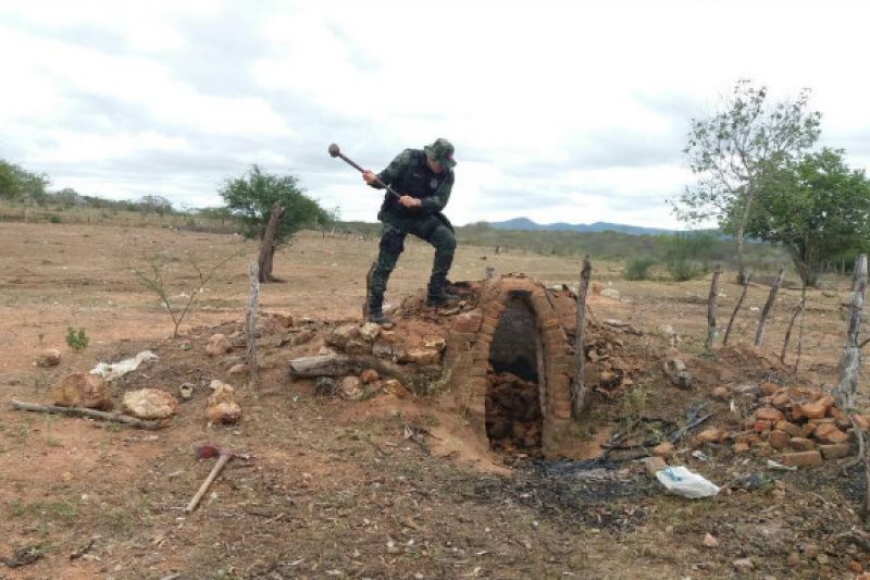 FPI apreende 600 litros de agrotóxicos e destrói 11 fornos