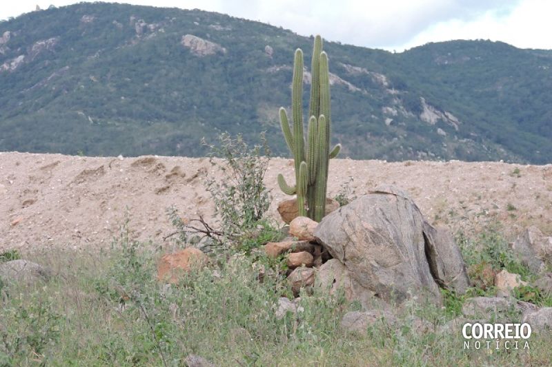 Seca verde: Estado aguarda municípios para decretar situação de emergência