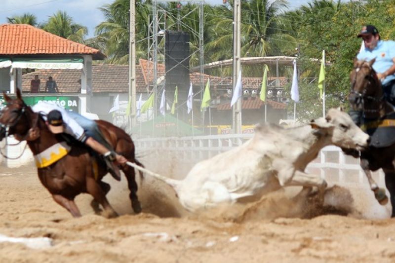 STF decide que vaquejada passa a ser considerada uma prática ilegal