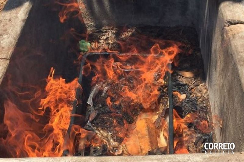 Polícia Civil realiza incineração de quase 30 tabletes de cocaína em Canapi