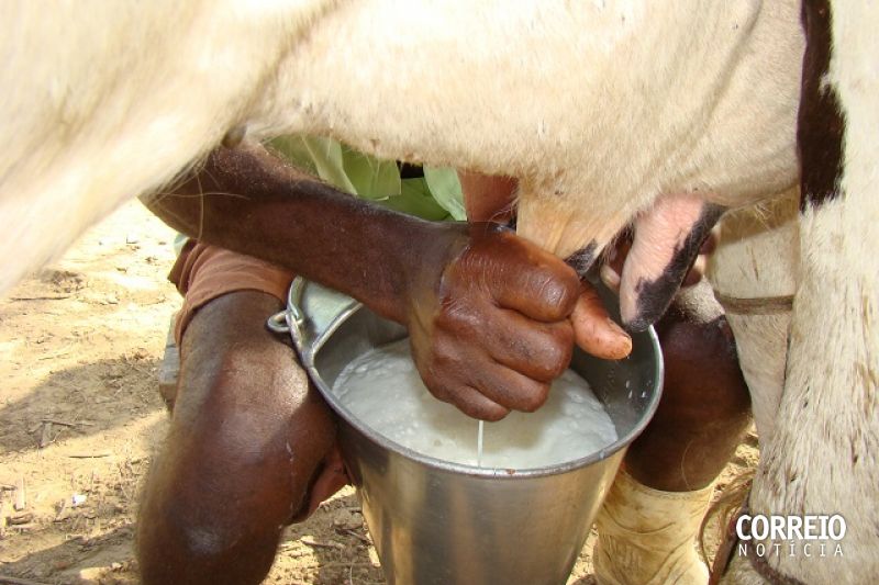 Unidade de Beneficiamento de Leite deve beneficiar 2,5 mil agricultores do Sertão