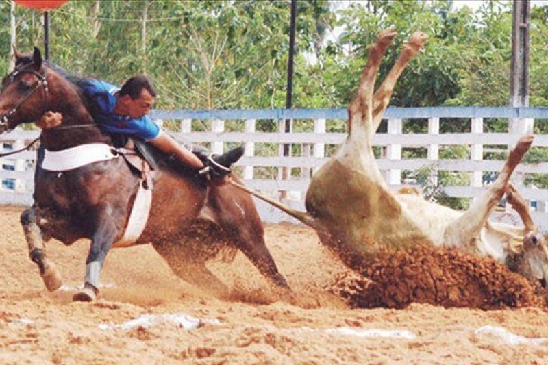 Governador sanciona lei que reconhece vaquejada como expressão artístico-cultural