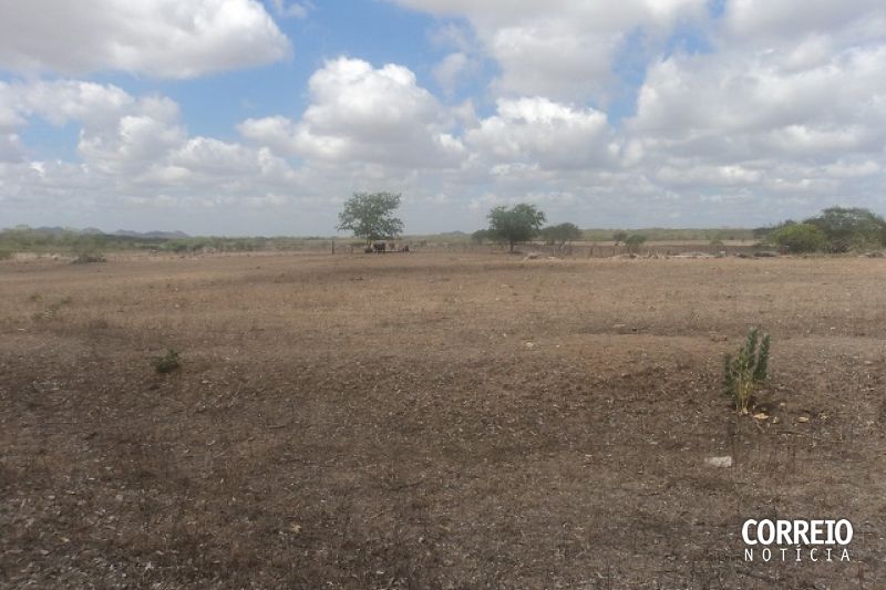 Chuvas estarão abaixo da média em janeiro, fevereiro e março