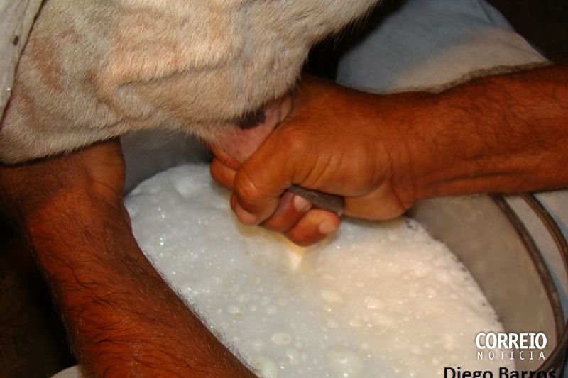 Cooperativa de Major Izidoro recebe máquina para análise da qualidade do leite