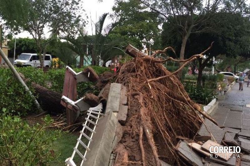 Chuva danifica residências em Inhapi e derruba árvores e postes em São José da Tapera