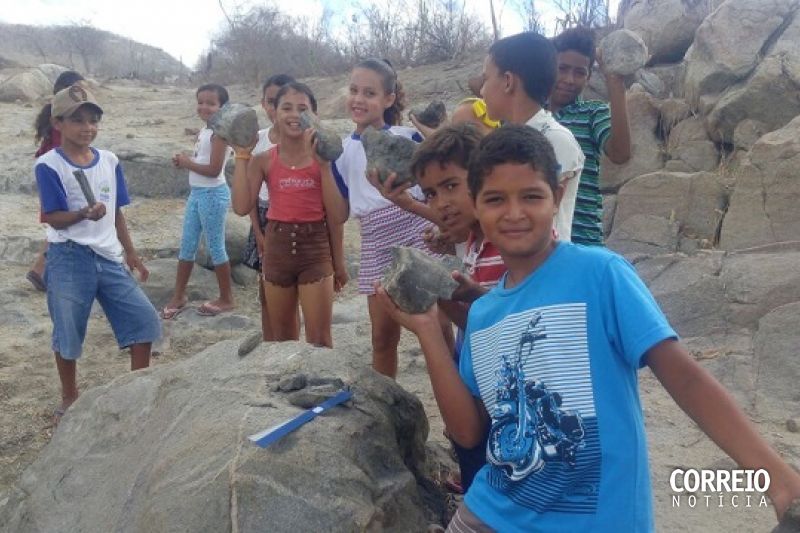 Fósseis de mamífero gigante da Era do Gelo são encontrados em Senador Rui Palmeira