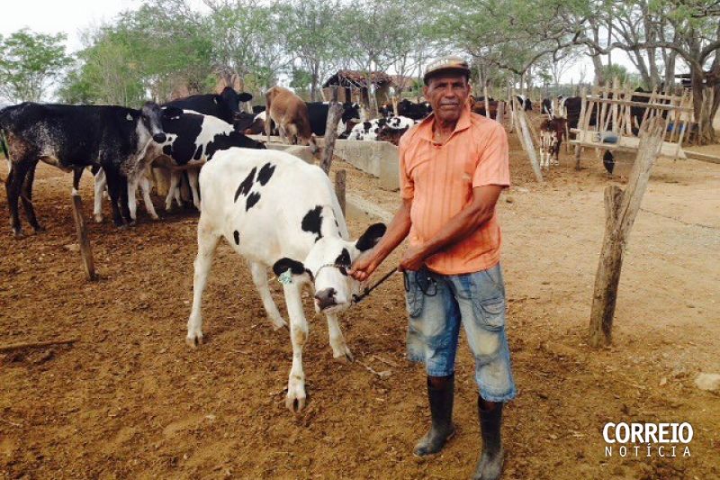 Barriga de aluguel: tecnologia garante embriões e melhora genética de animais no Sertão