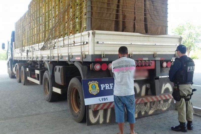 Caminhoneiro flagrado com mais de 100 comprimidos de rebites é preso em Canapi