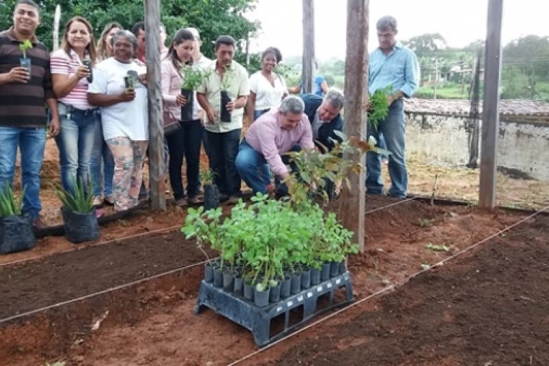 Hortas de plantas medicinais são implantadas em Água Branca e Mata Grande