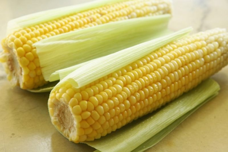 Preço do milho tem alta de 14,29%, informa Índice de Pesquisa ao Consumidor