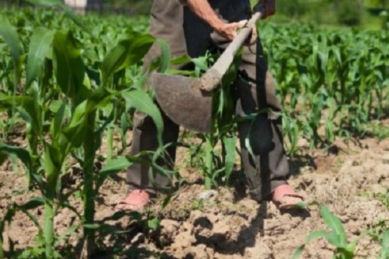 Justiça cumpre reintegração de posse em fazenda no município de Belo Monte