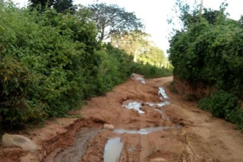 Estradas danificadas por conta das chuvas têm prejudicado Educação em Canapi