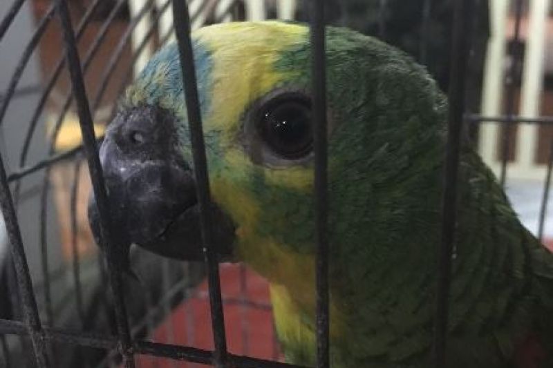 Fiscais do IMA identificam diversas irregularidades em Delmiro Gouveia no fim de semana