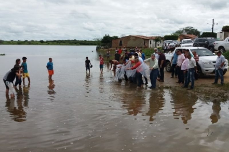 Produtores do povoado São Marcos, em Major Izidoro, recebem 30 mil alevinos de tilápia