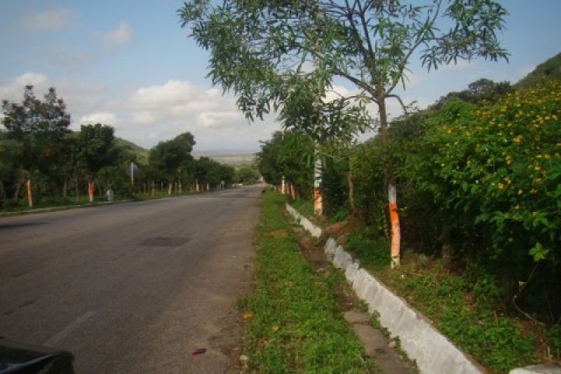 Obra de restauração da AL-145 entre Delmiro e Água Branca será iniciada em setembro