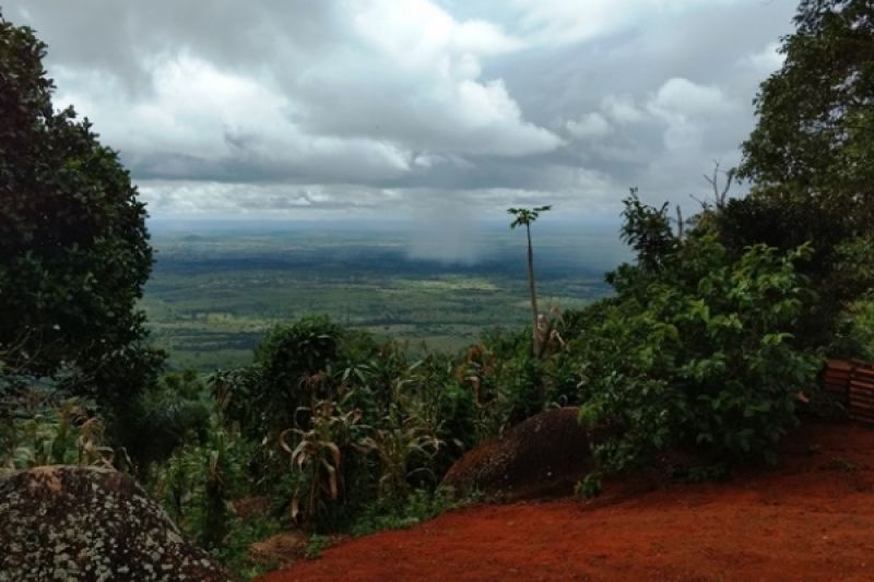 IMA estuda criação de nova Unidade de Conservação na Caatinga em Maravilha