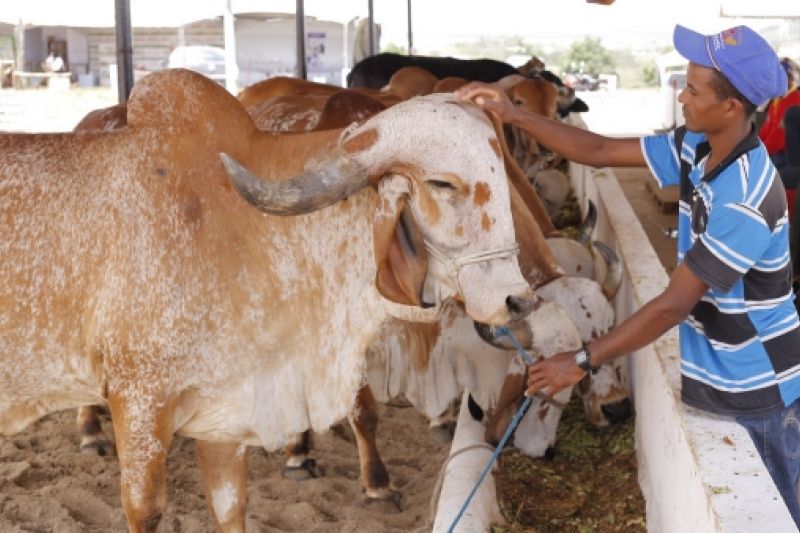 Governador e prefeita de Batalha reinauguram Parque de Exposições Mair Amaral