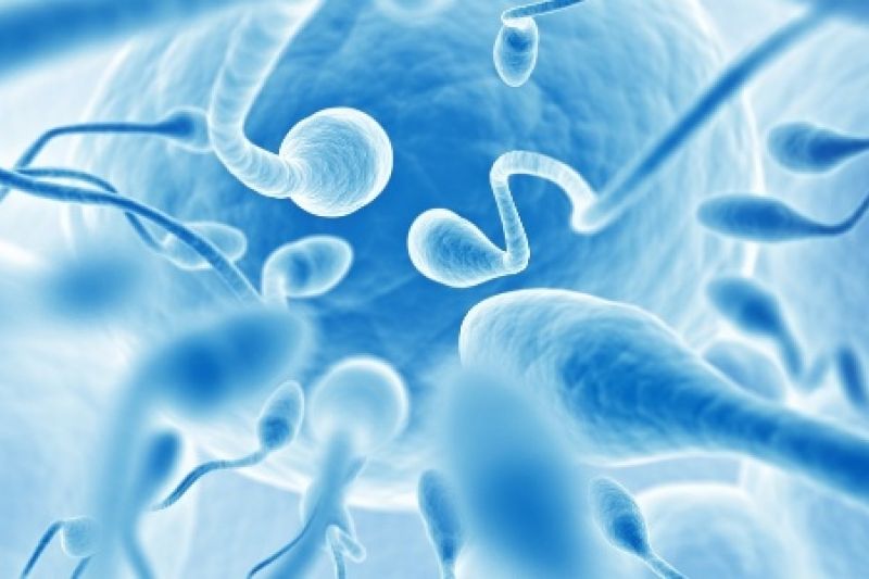 Esperma humano pode hospedar até 27 vírus diferentes, aponta estudo