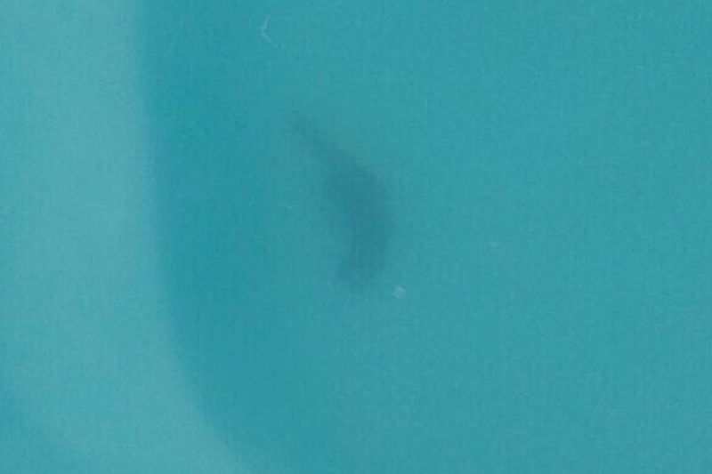 Ladrão é baleado por morador em tentativa de assalto, cai em piscina e morre