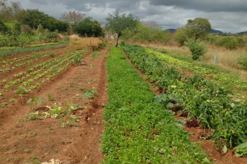 Produtores rurais de Poço das Trincheiras recebem orientações sobre PAA
