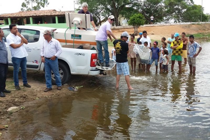 Barragem Pai Mané em Dois Riachos recebe 65 mil alevinos de tilápia