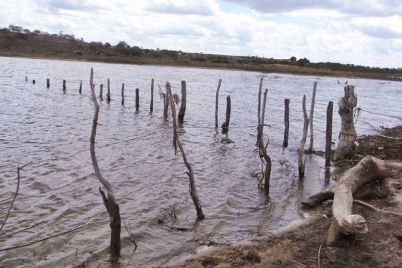 Olivença: IML é acionado para recolher corpo de homem que morreu após mergulho em barragem