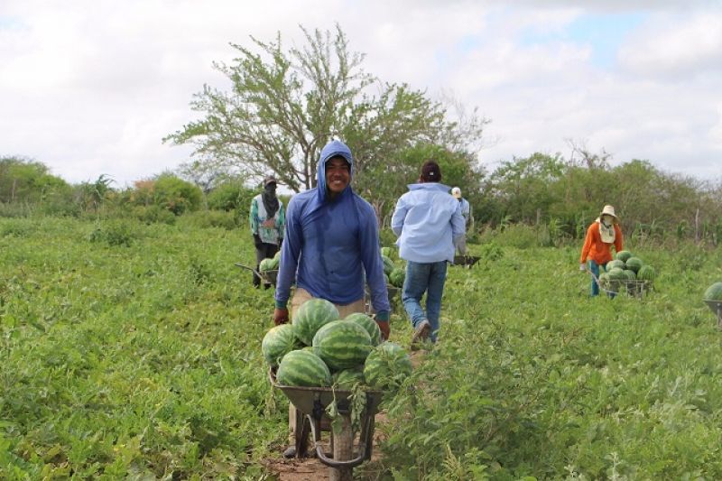 Produtores rurais de Delmiro serão beneficiados com ações do Projeto Embrapa Semiárido