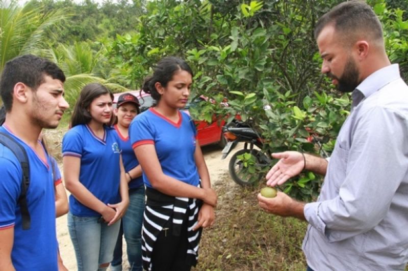 Projovem Campo oferta cursos profissionalizantes gratuitos para 8 municípios do Sertão