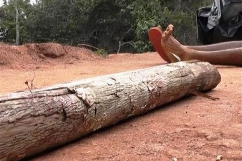 Homem assassinado a pauladas em Água Branca foi morto pelo sogro, segundo polícia