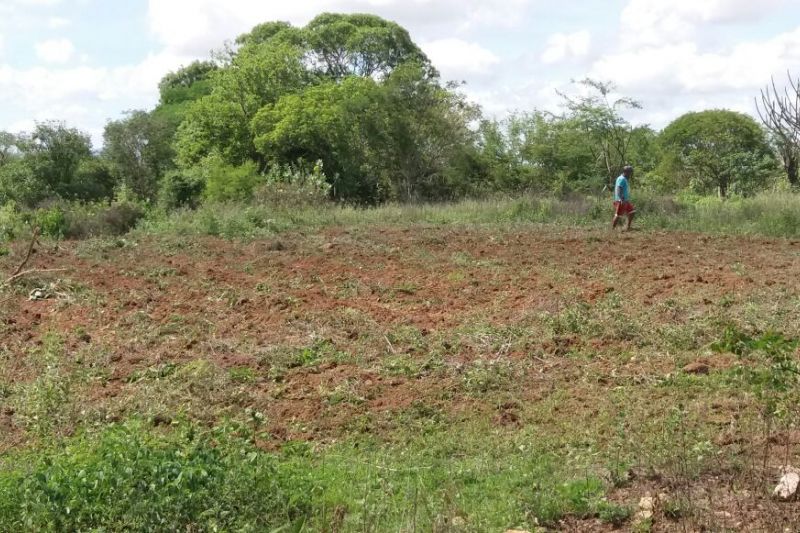 Canapi: Agricultura como prioridade