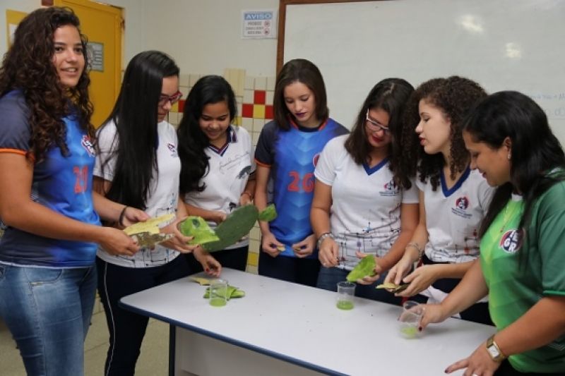 Estudantes do interior de Alagoas usam palma e juá para desenvolver xampu natural