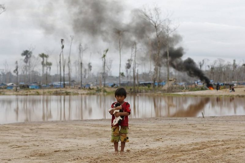Humanos colocam em perigo um terço das reservas naturais da Terra