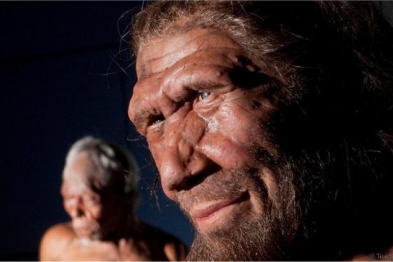 Menina das cavernas de 50 mil anos atrás tinha pais de espécies humanas diferentes