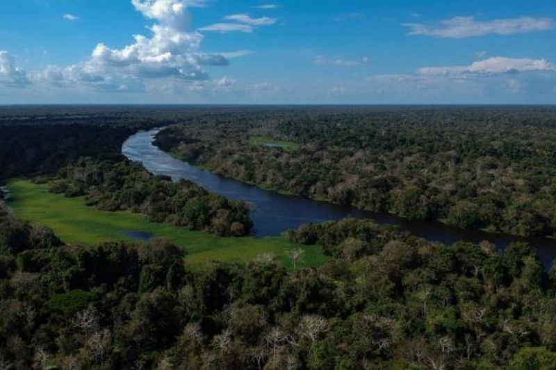 Estudo identifica Amazônia como origem do mais recente surto de febre amarela no Brasil