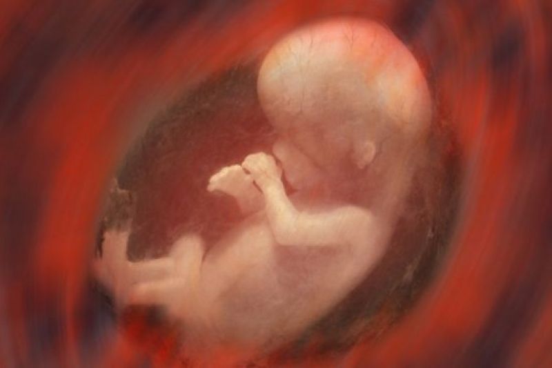 Poluição do ar chega aos bebês durante a gravidez, indica estudo