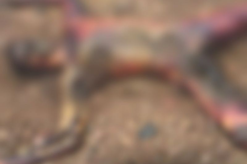 Corpo de jovem é encontrado carbonizado em estrada que dá acesso a fazenda em Piranhas