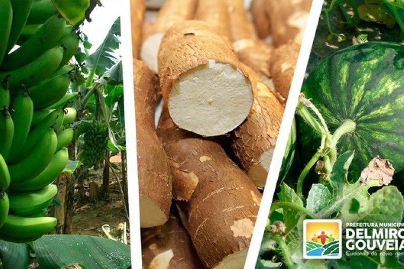 Prefeito Padre Eraldo conquista mais uma vitória para o pequeno produtor rural