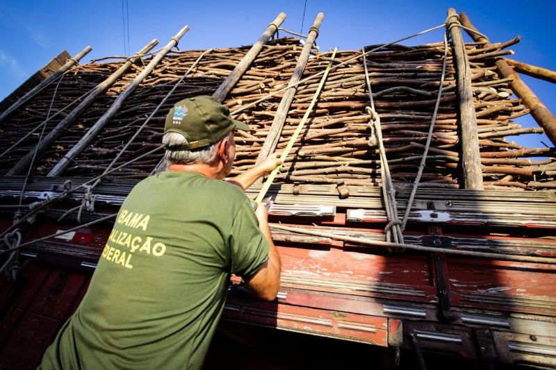 FPI do São Francisco apreende madeira que estava sendo retirada de área de preservação