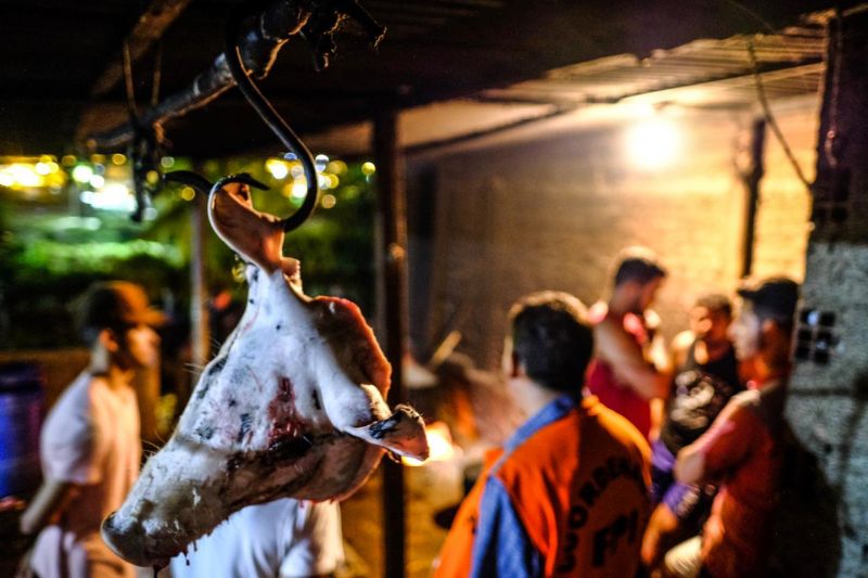 FPI interdita abatedouro clandestino em Santana do Ipanema