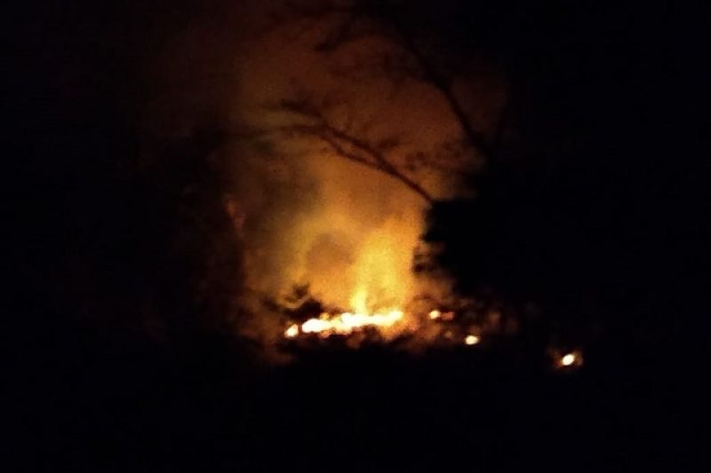 Incêndio atinge vegetação a margem da AL-145 na entrada da cidade de Água Branca