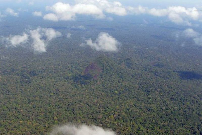 O que se sabe sobre desaparecimento de avião com indígenas na Floresta Amazônica