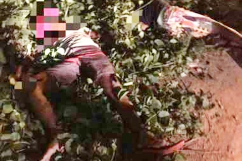 Dois irmãos são assassinados com vários tiros enquanto andavam de moto no Sertão