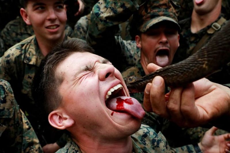 Refeição militar na Tailândia tem sangue de cobra e arroz em camisinha