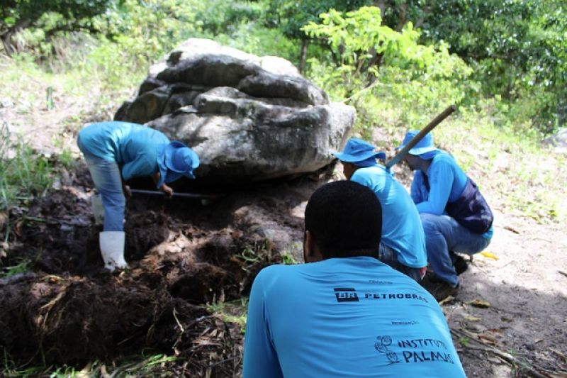Nascentes são recuperadas em Mata Grande em busca da melhoria na segurança hidroambiental