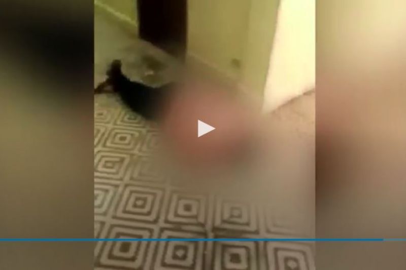 Cenário de horror: vídeo mostra corpos pelo chão após ataque em escola de Suzano (SP)